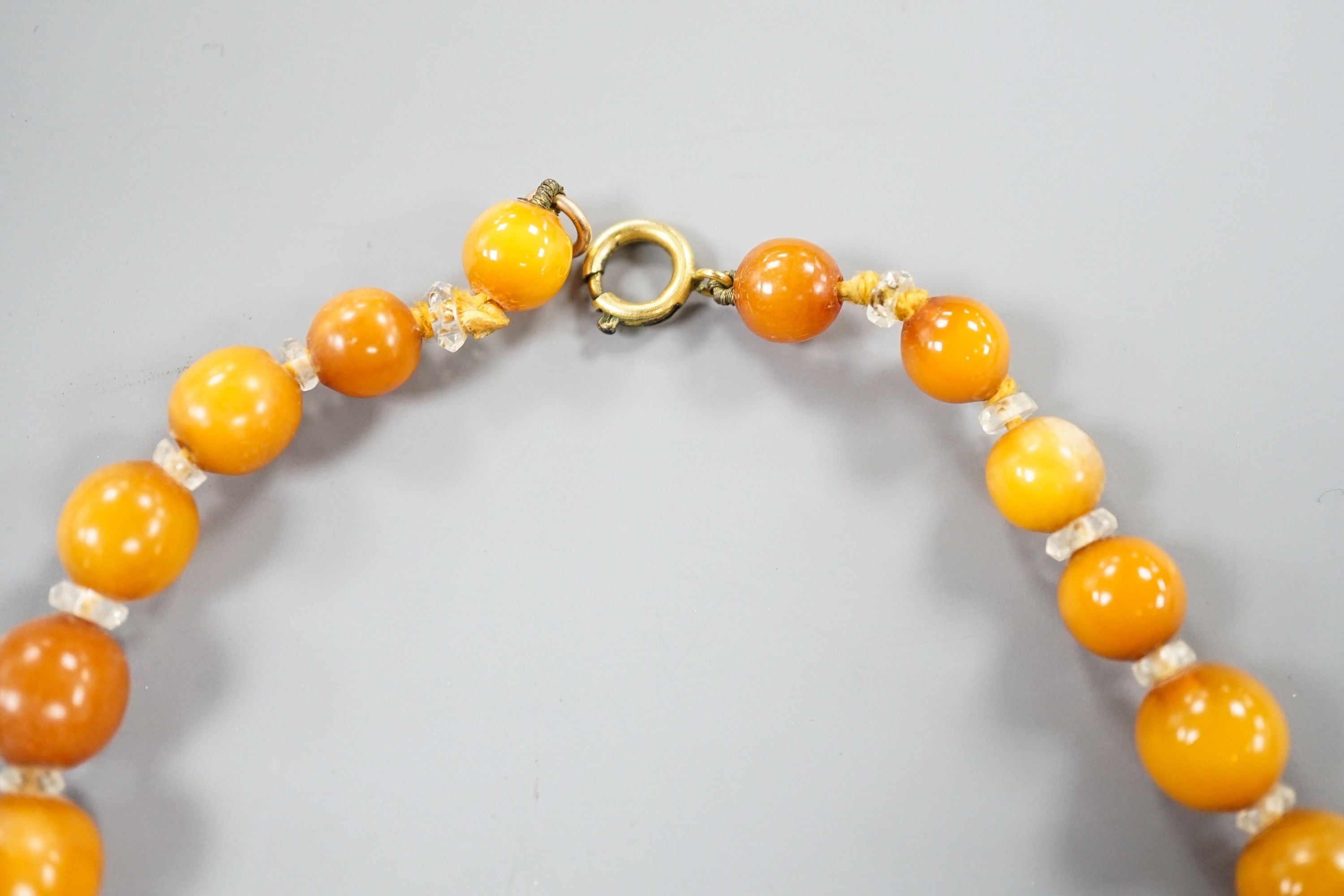 A single strand graduated amber bead necklace, with paste spacers, 42cm, gross weight 31 grams.